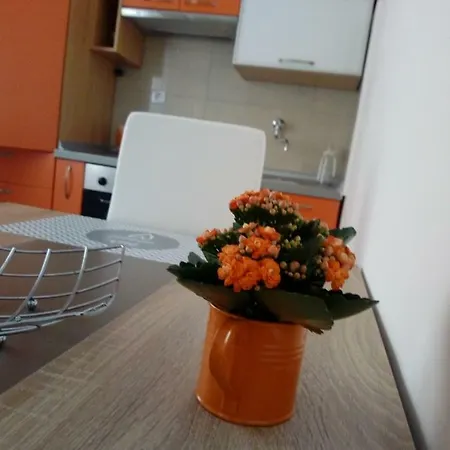 Radic Apartmán *