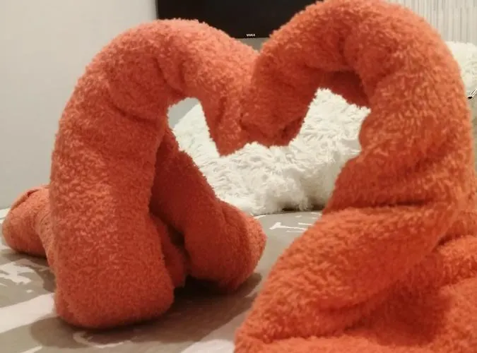 Radic شقة تروغير