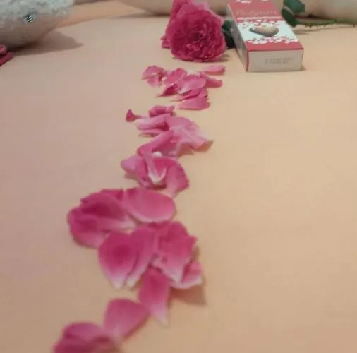 Radic * تروغير