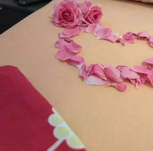 Radic * تروغير