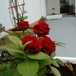 Apartment Radic *