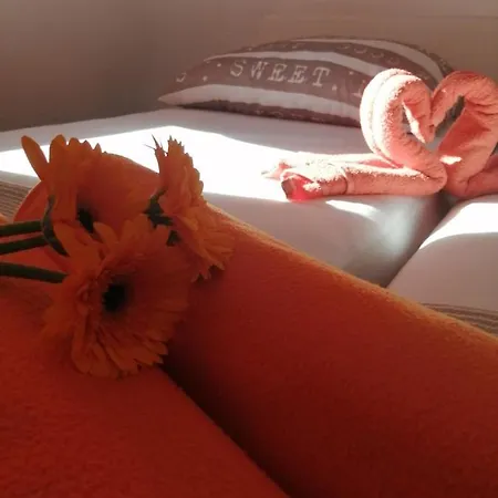 Radić Apartament *