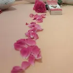 Radic * トロギール