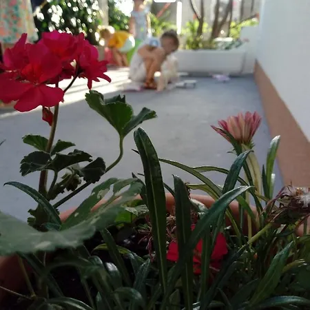 Radic Apartment *