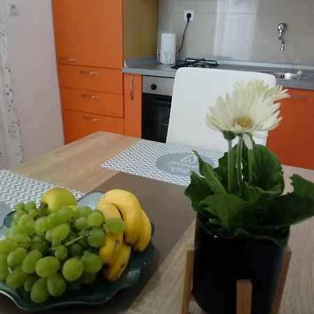 Apartment Radic *