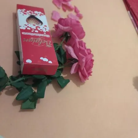 Radic 아파트 *