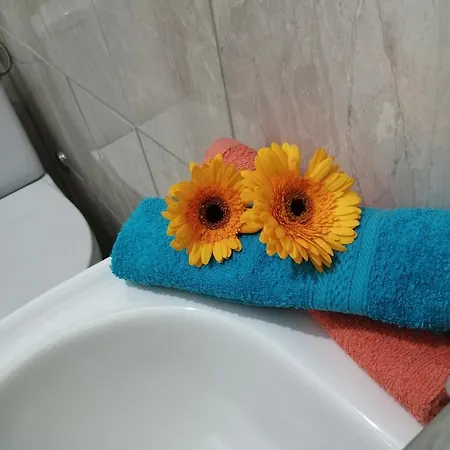 Radic Apartment *