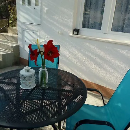 Radic Apartment *