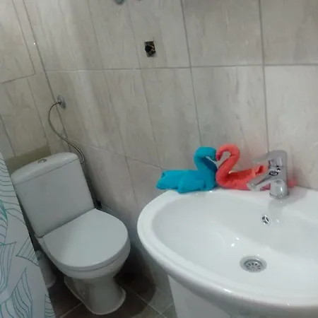 Apartment Radic *